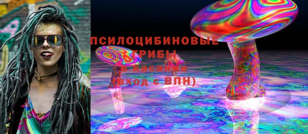 дмт Алексин