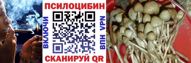 как найти закладки  Александровское  Псилоцибиновые грибы мухоморы 